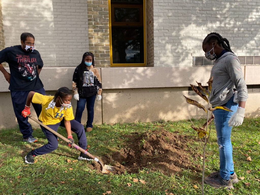 photo showing students at the Andrew Hamilton School digging in the garden