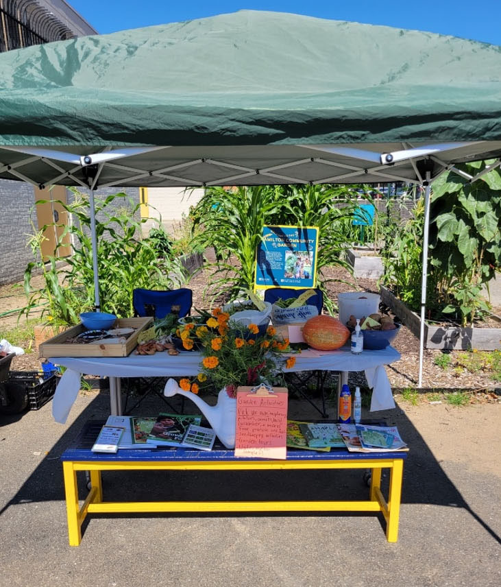 photo of vegetable stand under a shade canopy at the Andrew Hamilton School