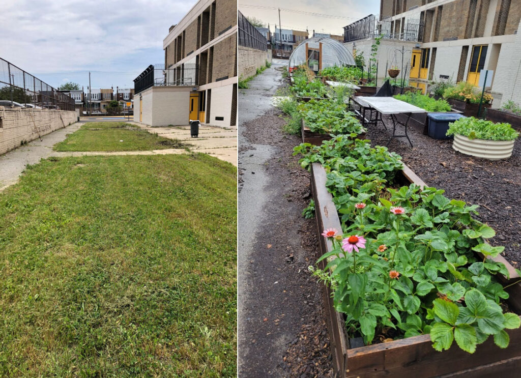 Photo showing before and after the garden installation at Hamilton School. 